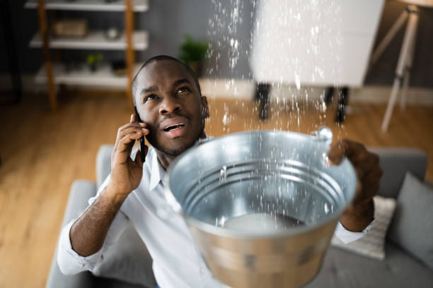 Best Water damage restoration near me  in Fritz Creek, AK