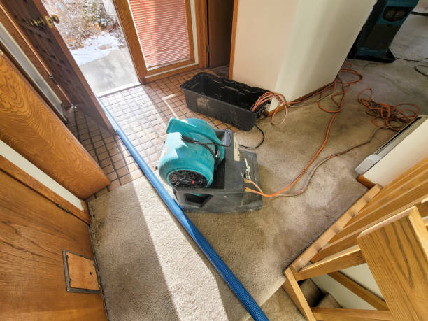 Reliable Fritz Creek, AK Water damage restoration Solutions