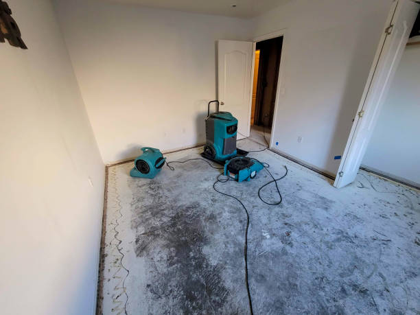 Best Carpet water damage restoration  in Fritz Creek, AK