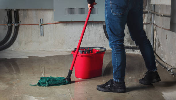 Best Mold removal after water damage  in Fritz Creek, AK