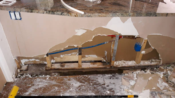 Best Basement water damage restoration  in Fritz Creek, AK