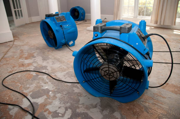 Best Local water damage restoration  in Fritz Creek, AK