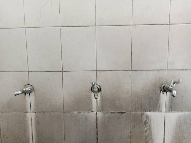 Best Residential water damage restoration  in Fritz Creek, AK