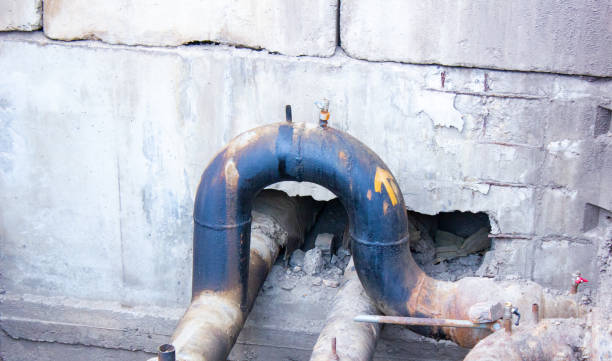 Best Water damage restoration near me  in Fritz Creek, AK